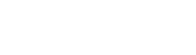  Brach Design Architecture